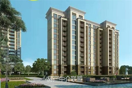 水岸丽都高档小区电梯洋房复式楼送车库、储藏室学区房